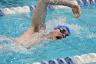Swimming & Diving vs RWU  Swimming & Diving vs Roger Williams University. - Photo by Keith Nordstrom : Wheaton, Swimming
